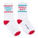 Чоловічі спортивні шкарпетки - Chill Out L (40-43)