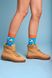 Мужские носки - Таблетки L (40-43)